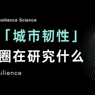城市韧性：真正的 City｜学术信息分析