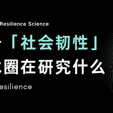 社会韧性：关于社会的美丽新蓝图