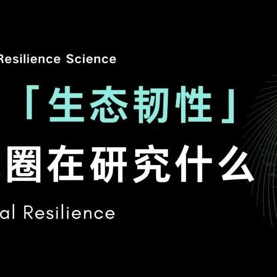生态韧性：野火烧不尽，春风吹又生