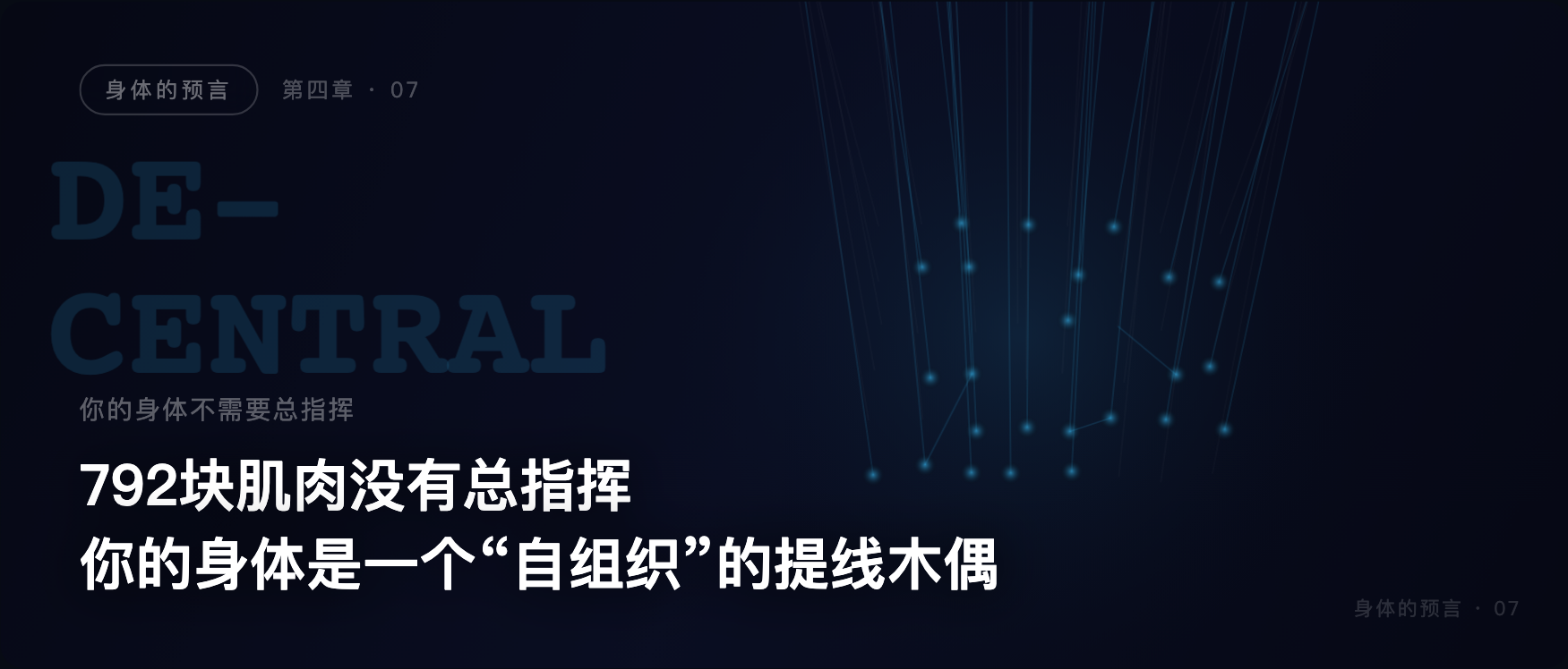 身体的预言 · 07 · 你的身体不需要总指挥